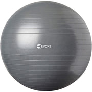 Exercise Ball - 26 inches (65 cm)